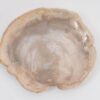 Bord versteend hout 43388h