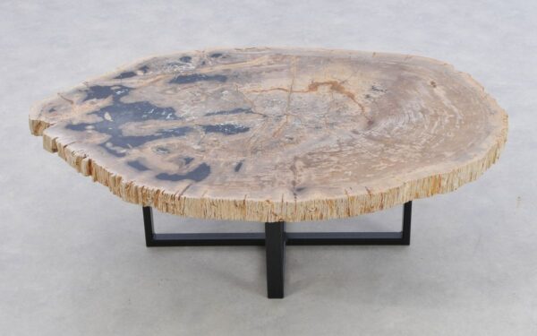 Coffee table petrified wood 43157