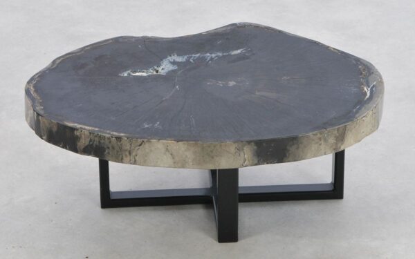 Coffee table petrified wood 43158