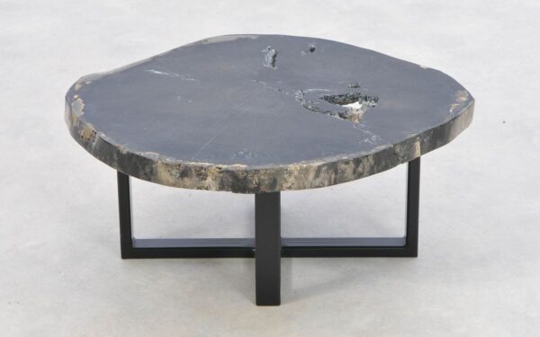 Coffee table petrified wood 43165