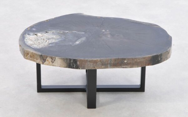Coffee table petrified wood 43167