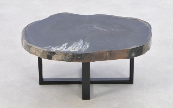 Coffee table petrified wood 43168