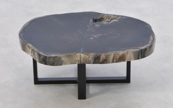 Coffee table petrified wood 43169