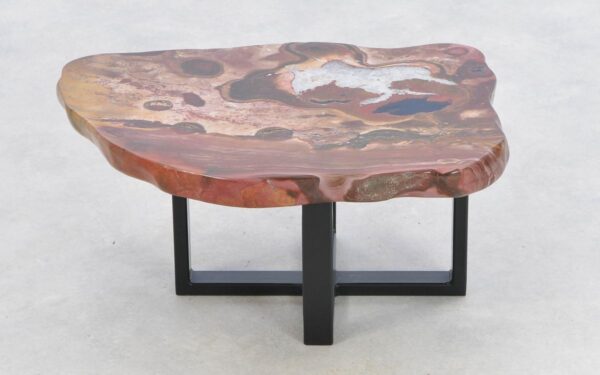 Coffee table petrified wood 43172