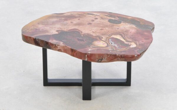 Coffee table petrified wood 43175