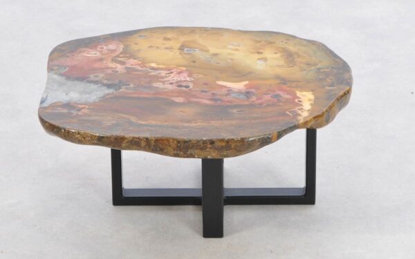 Coffee table petrified wood 43180