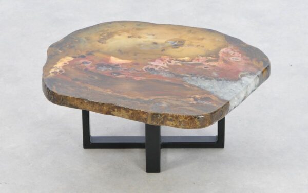 Coffee table petrified wood 43181