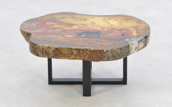 Coffee table petrified wood 43182