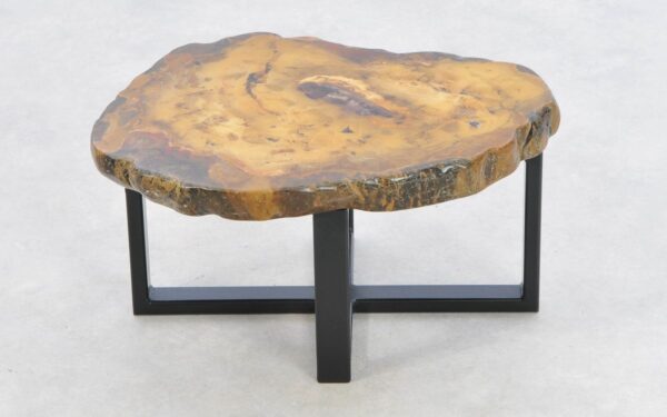 Coffee table petrified wood 43184