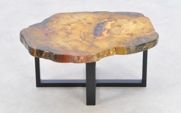 Coffee table petrified wood 43185