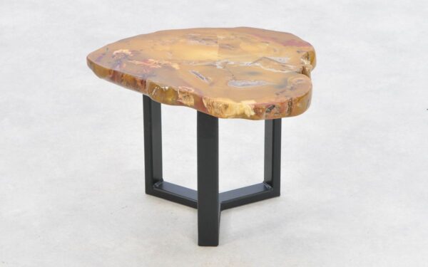 Coffee table petrified wood 43187