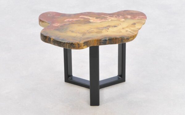 Coffee table petrified wood 43190