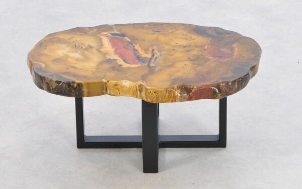 Coffee table petrified wood 43191