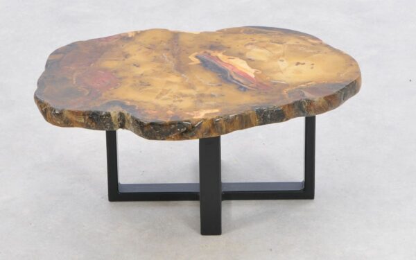 Coffee table petrified wood 43192