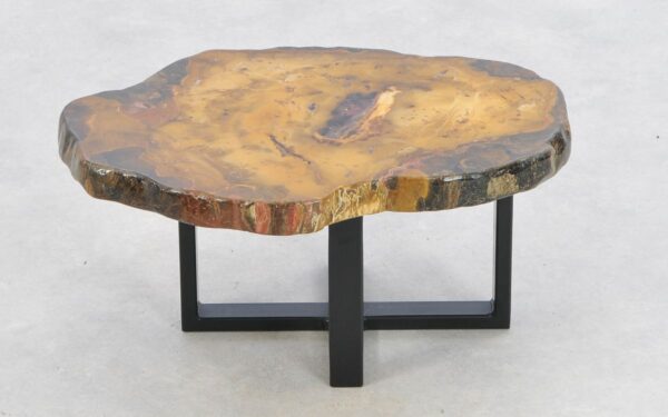 Coffee table petrified wood 43193