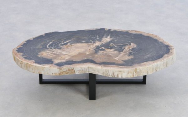 Coffee table petrified wood 43194