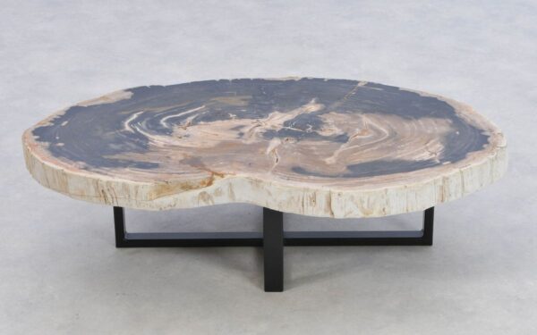 Coffee table petrified wood 43195