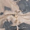 Coffee table petrified wood 43195