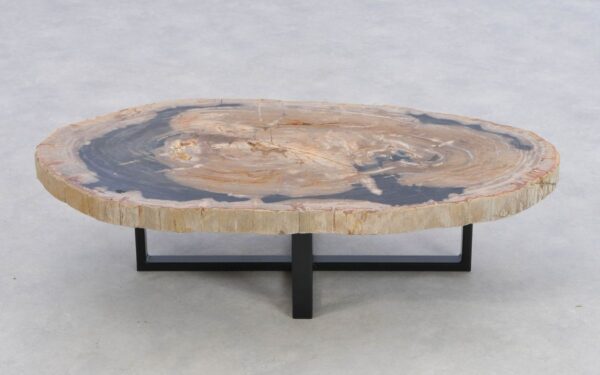 Coffee table petrified wood 43198