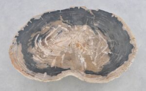 Coffee table petrified wood 43201