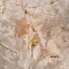 Coffee table petrified wood 43201