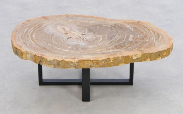Coffee table petrified wood 43203