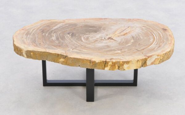 Coffee table petrified wood 43204