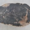Coffee table petrified wood 43205