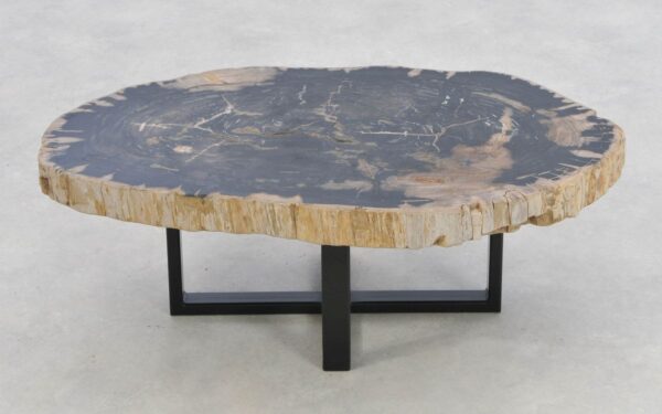 Coffee table petrified wood 43205