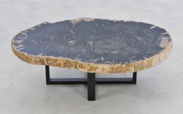 Coffee table petrified wood 43206