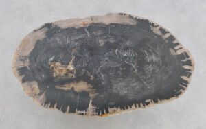 Coffee table petrified wood 43208