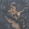 Coffee table petrified wood 43208