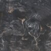 Coffee table petrified wood 43208