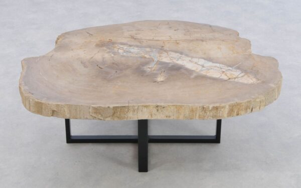 Coffee table petrified wood 43216