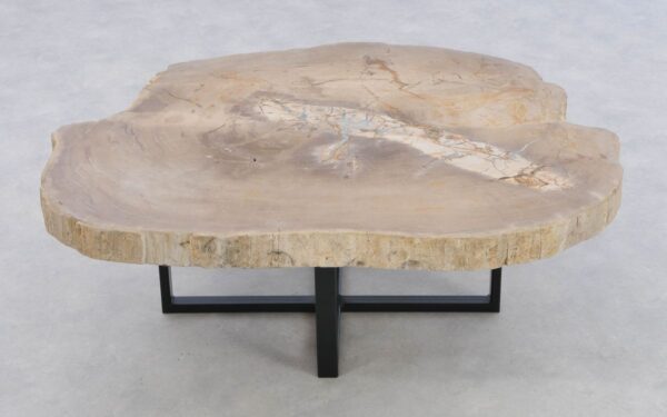 Coffee table petrified wood 43217