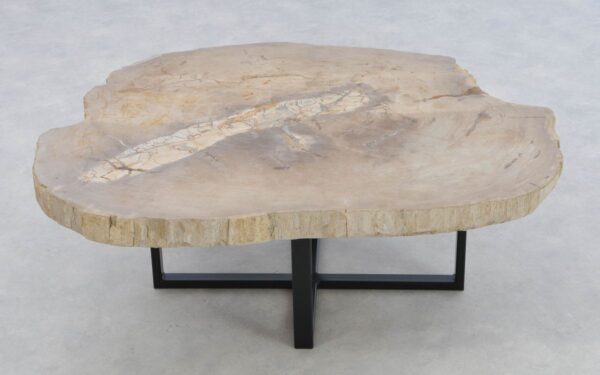 Coffee table petrified wood 43218