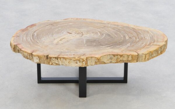 Coffee table petrified wood 43219