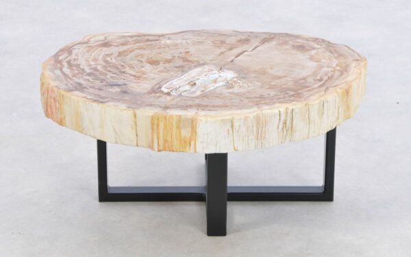 Coffee table petrified wood 43226