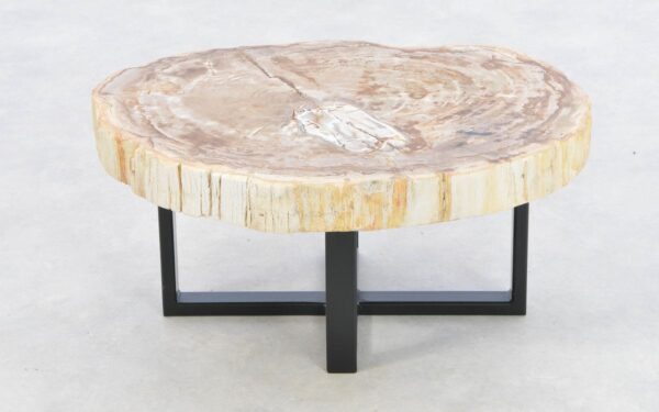 Coffee table petrified wood 43228