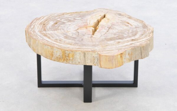 Coffee table petrified wood 43231