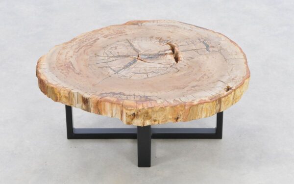 Coffee table petrified wood 43235