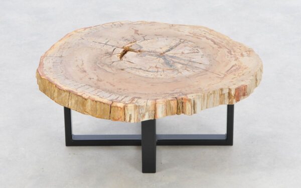 Coffee table petrified wood 43236