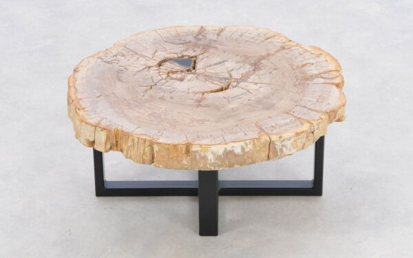 Coffee table petrified wood 43237