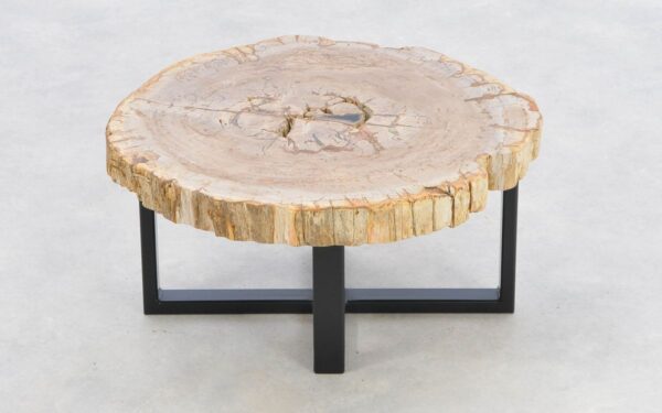 Coffee table petrified wood 43238