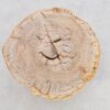 Coffee table petrified wood 43239