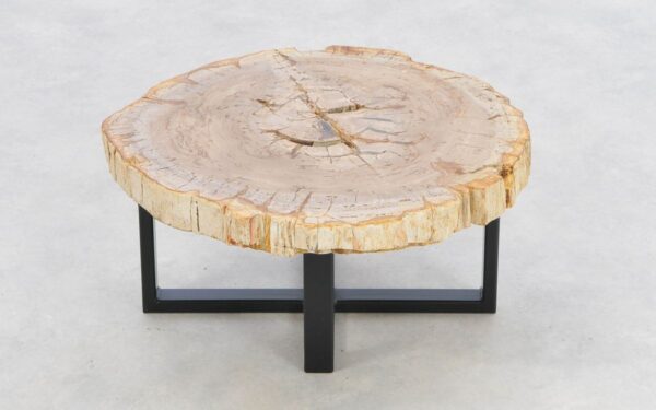 Coffee table petrified wood 43239