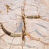 Coffee table petrified wood 43239