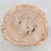 Coffee table petrified wood 43240