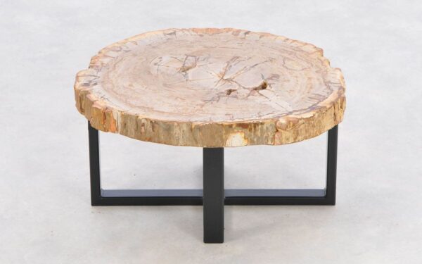 Coffee table petrified wood 43240