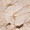 Coffee table petrified wood 43240